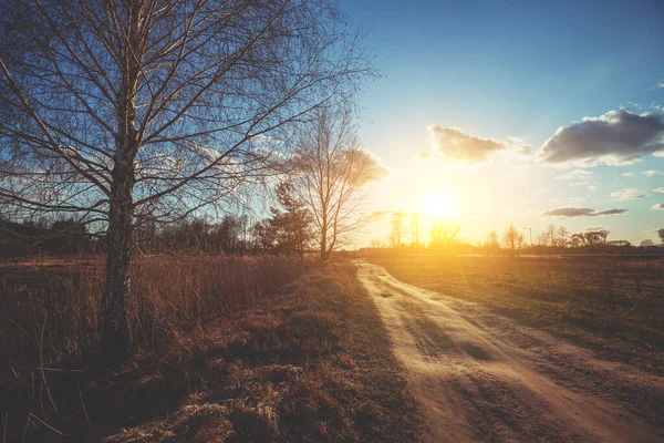 Rural Landscape Evening Sunset Bright Sunset Countryside Country Dirt Road — Stock Photo, Image