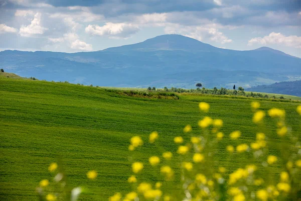 Hermoso Paisaje Primaveral Paisaje Con Montañas Valle Día Soleado Vista — Foto de Stock