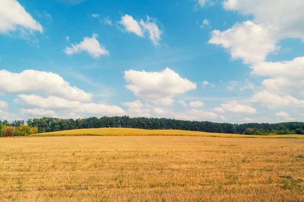 美しい曇りの空と夏の農村風景 芝刈り場の空中風景 — ストック写真
