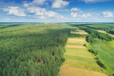 Güzel bir gökyüzü olan kırsal alan. Hava görüntüsü. Baharda ekili ve yeşil tarlaların ve çam ormanlarının manzarası