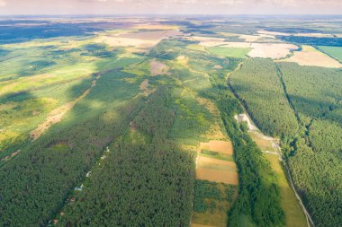 Kırsal alan. Hava görüntüsü. Baharda tarlalar ve orman manzarası