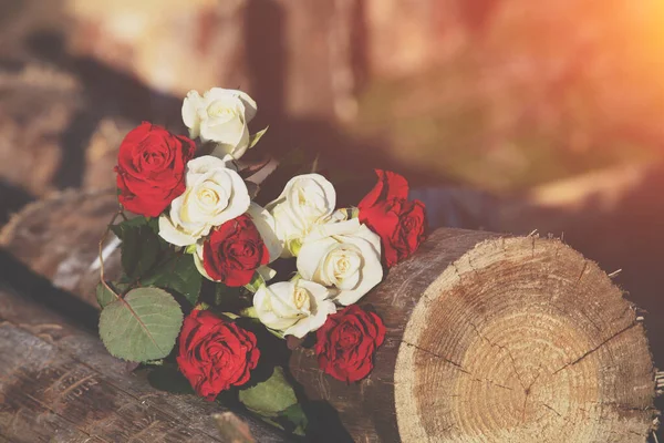 Vintage Blume Natur Hintergrund Rosenstrauß Auf Holzstämmen Garten — Stockfoto