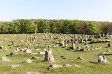 Lindholm Hills Danca Lindholm Hoje denilen bir büyük Viking mezar Danimarka sitesidir 