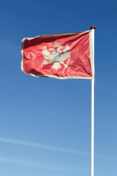 黑山国旗飘扬在空中 — 图库照片