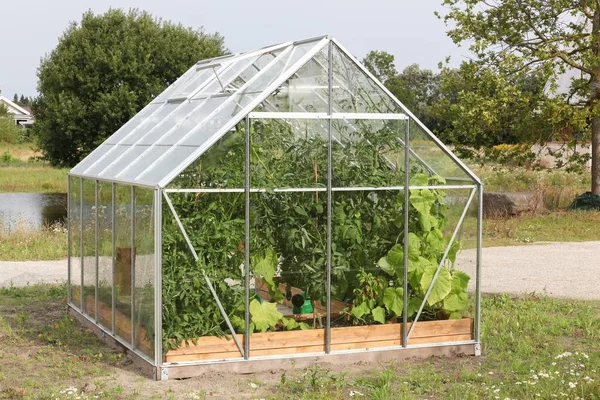Greenhouse Garden — Stock Photo, Image