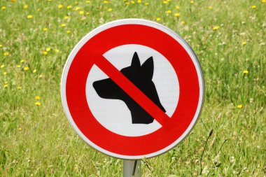 Köpekler imza atamaz.