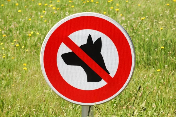 No dogs allowed sign