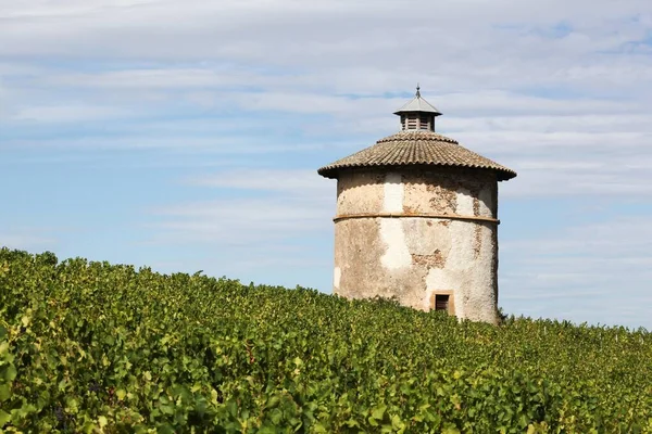 Dovecote Vineyard Beaujolais Quincie Beaujolais France — Stock Photo, Image