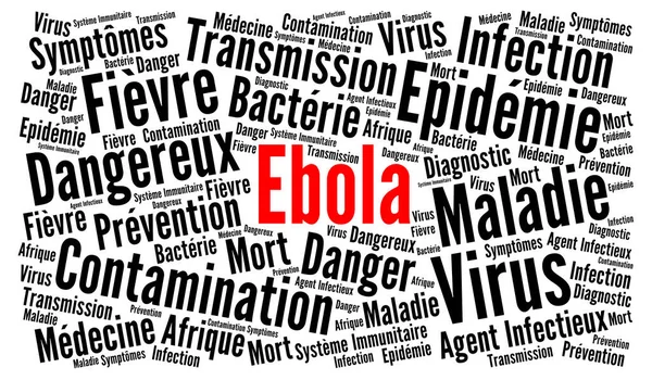 Virus Dell Ebola Parola Nube Lingua Francese — Foto Stock