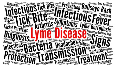 Lyme hastalığı kelime bulut 