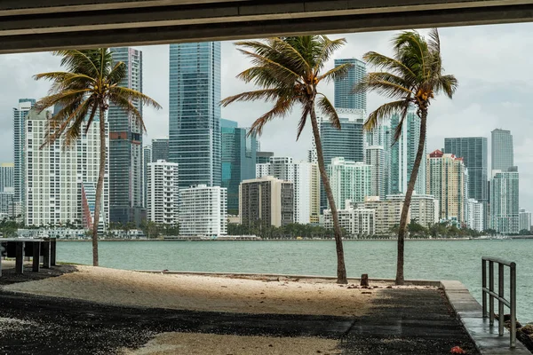 Vackra Miami Silhuett Längs Biscayne Bay Med Höga Brickell Avenue — Stockfoto