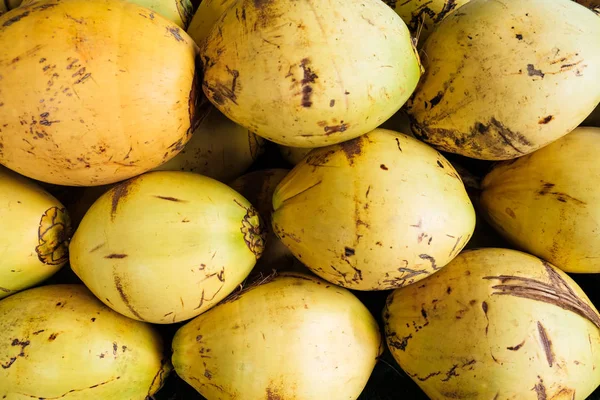 Pile Fresh Ripe Coconuts — Stock Photo, Image