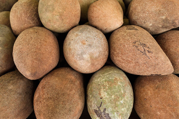 Close up view of fresh Florida mamey fruit.