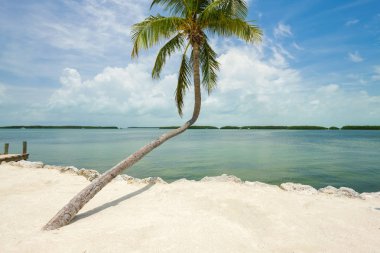 Körfez boyunca popüler Florida Keys görünümünü deniz manzarası.