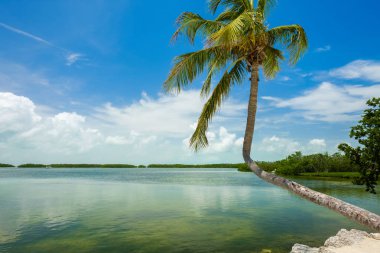 Körfez boyunca popüler Florida Keys görünümünü deniz manzarası.