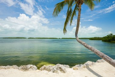 Körfez boyunca popüler Florida Keys görünümünü deniz manzarası.