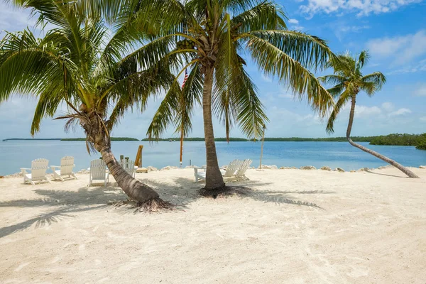 Vista Sul Mare Delle Famose Florida Keys Lungo Baia — Foto Stock