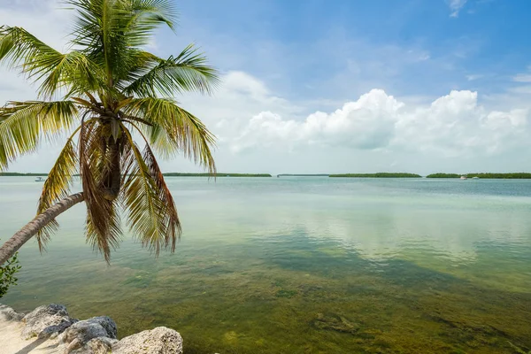 Körfez boyunca popüler Florida Keys görünümünü deniz manzarası.