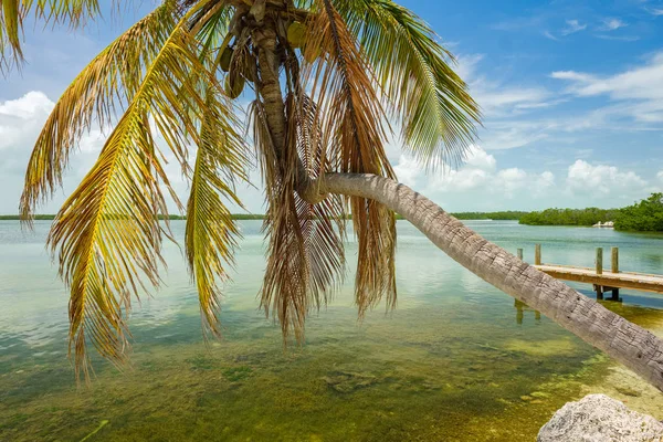 Vue Sur Paysage Marin Floride Populaire Keys Long Baie — Photo