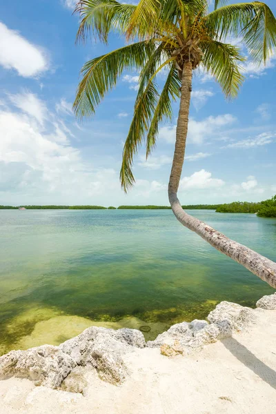 Zeegezicht Weergave Van Populaire Florida Keys Langs Baai — Stockfoto