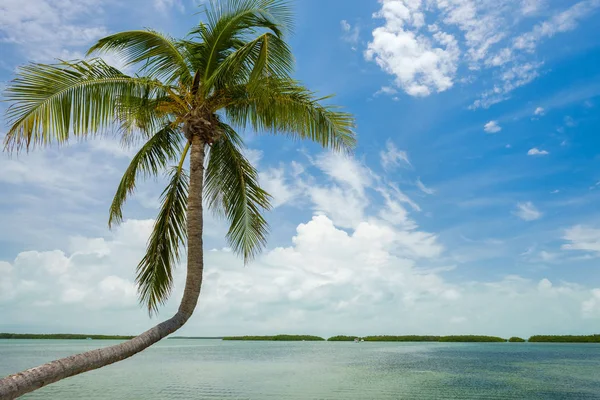 Seascape Morze Popularne Florida Keys Wzdłuż Zatoki — Zdjęcie stockowe