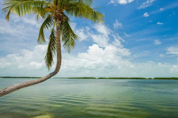 Seascape Morze Popularne Florida Keys Wzdłuż Zatoki — Zdjęcie stockowe