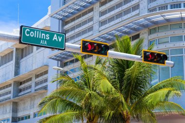 Miami Beach cityscape art deco mimarisi ve palmiye ağaçları ile.