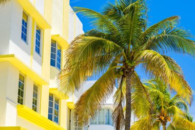 Miami Beach cityscape art deco mimarisi ve palmiye ağaçları ile.