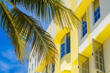 Miami Beach cityscape art deco mimarisi ve palmiye ağaçları ile.