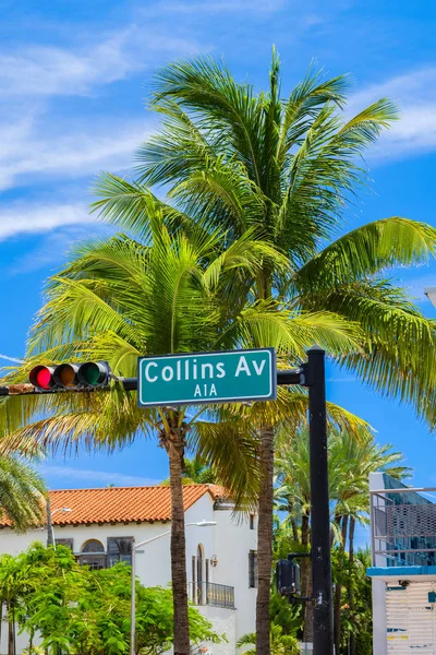 Miami Beach Stadsbilden Med Gatuskyltar Och Palmer — Stockfoto
