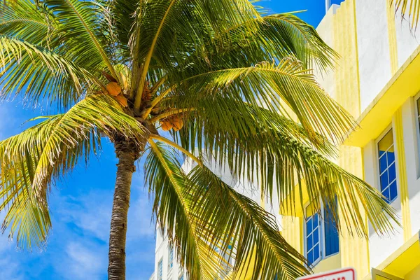 Miami Beach Paisagem Urbana Com Arquitetura Art Deco Palmeiras — Fotografia de Stock