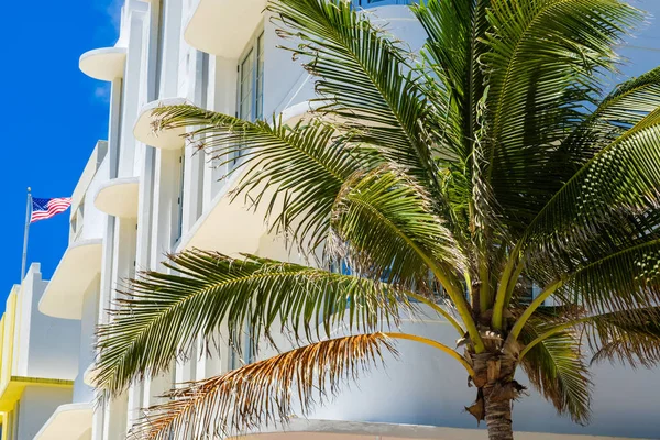 Miami Beach Stadsbilden Med Art Déco Arkitektur Och Palmer — Stockfoto