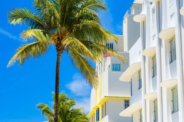 Miami Beach Stadsbilden Med Art Déco Arkitektur Och Palmer — Stockfoto