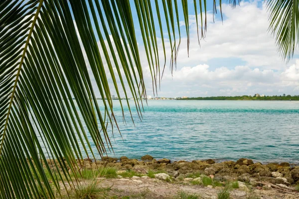 Γραφική Θέα Στον Κόλπο Από Haulover Πάρκο Στο North Miami — Φωτογραφία Αρχείου