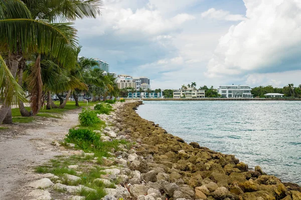 North Miami Beach Park'ta Haulover doğal defne görünümünden