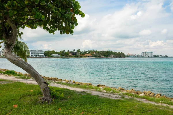North Miami Beach Park'ta Haulover doğal defne görünümünden