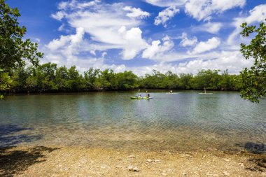 Miami, Florida ABD - 25 Haziran 2018: Doğal görünümü kayaklarının ve kürek Kurulları, popüler Oleta nehir devlet parkta Kuzey Miami Beach Körfezi yer alan zevk ziyaretçi.