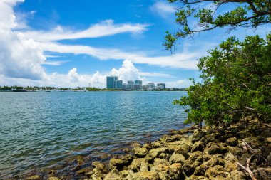Doğal defne görünümü Kuzey Miami Beach Oleta River Eyalet Parkı '.