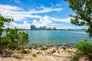 Doğal defne görünümü Kuzey Miami Beach Oleta River Eyalet Parkı '.
