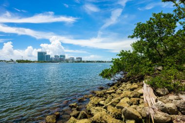 Doğal defne görünümü Kuzey Miami Beach Oleta River Eyalet Parkı '.