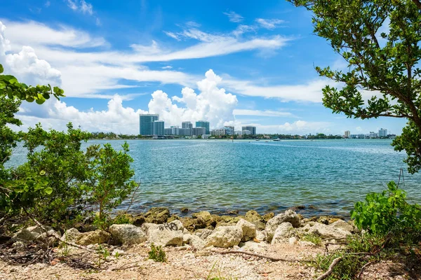 าวท สวยงามจาก Oleta River State Park North Miami Beach — ภาพถ่ายสต็อก