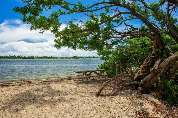 Malowniczy Widok Zatoce Oleta River State Park Mieście North Miami — Zdjęcie stockowe