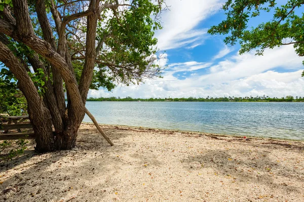 Живописный Вид Залив Oleta River State Park Северном Майами Бич — стоковое фото