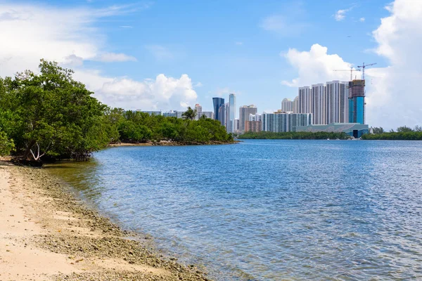 Schilderachtige Baai Weergave Van Oleta River State Park North Miami — Stockfoto