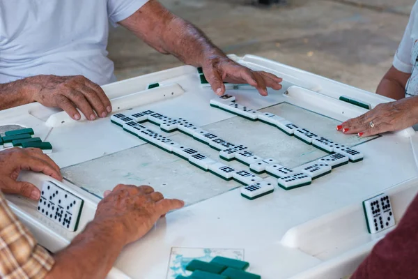 Vista Perto Indivíduos Que Jogam Jogo Dominó Histórico Parque Domino — Fotografia de Stock