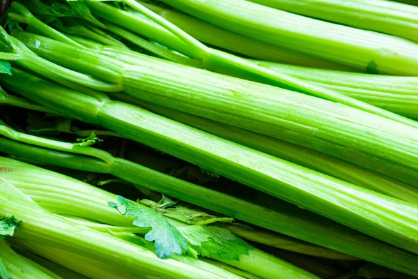 Close Van Stengels Bleekselderij — Stockfoto