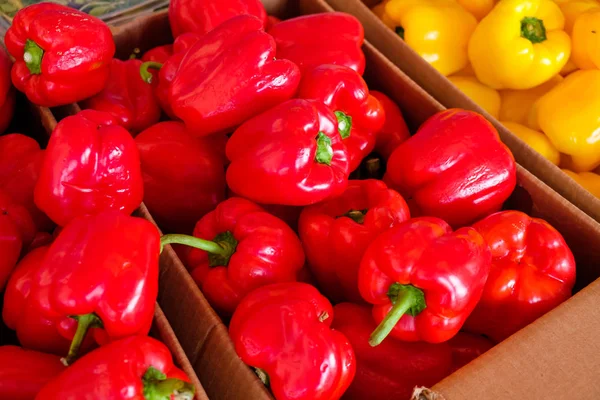 Nahaufnahme Eines Falles Frischer Roter Paprika — Stockfoto