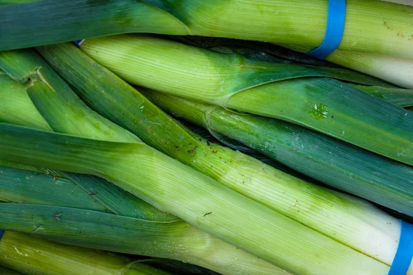 A bohça-in taze ekili pırasa görünümünü kapat.