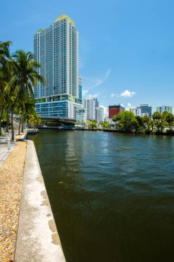 Miami, Florida ABD - 9 Temmuz 2018: Doğal downtown Miami cityscape gökdelenler ve palmiye ağaçları riverwalk boyunca.