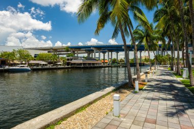 Miami, Florida ABD - 9 Temmuz 2018: Doğal cityscape downtown bölgesinde Riverwalk palmiye ağaçlarının ile Miami Nehri boyunca.